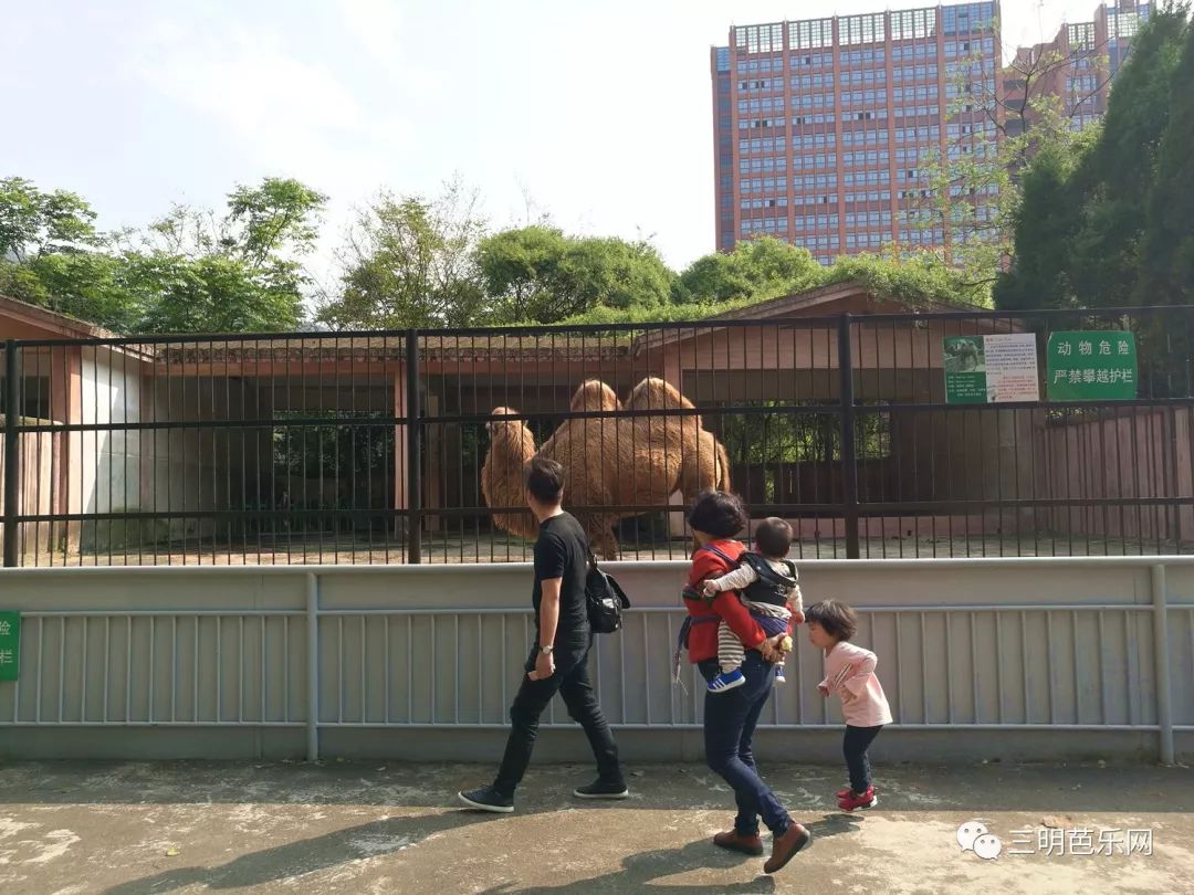 三明麒麟山动物园 童年动物园时光令人难忘